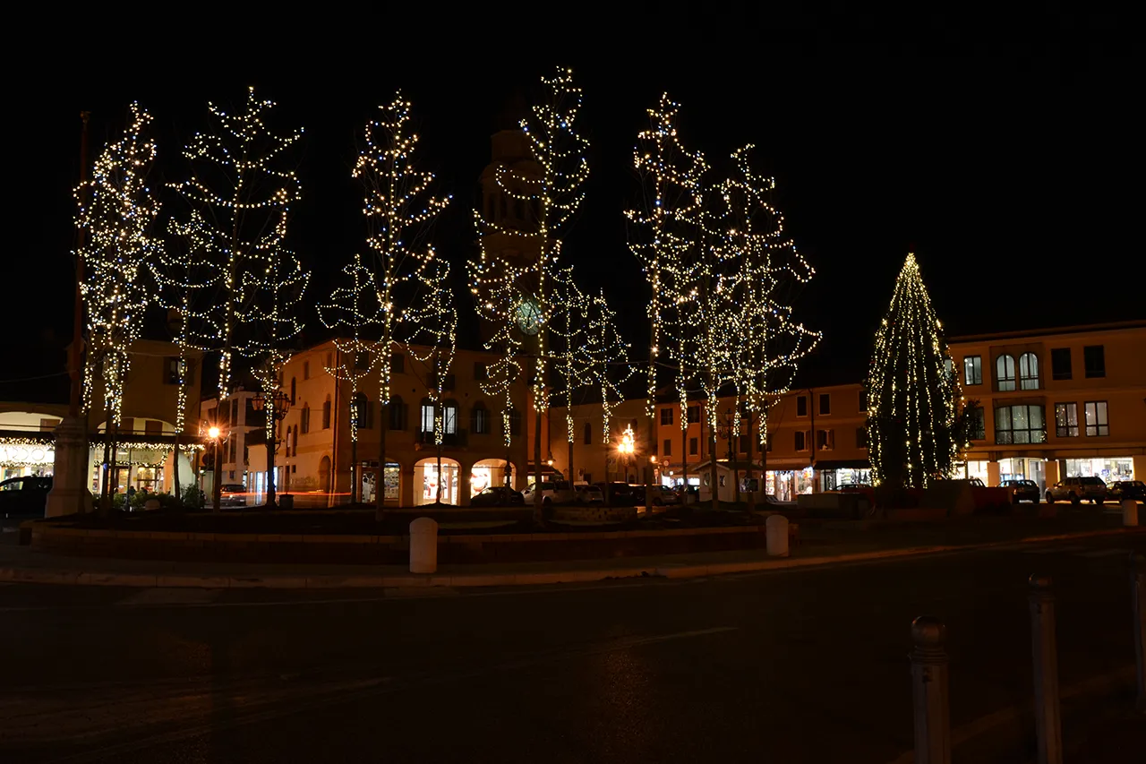 Alberi reali addobbati 
